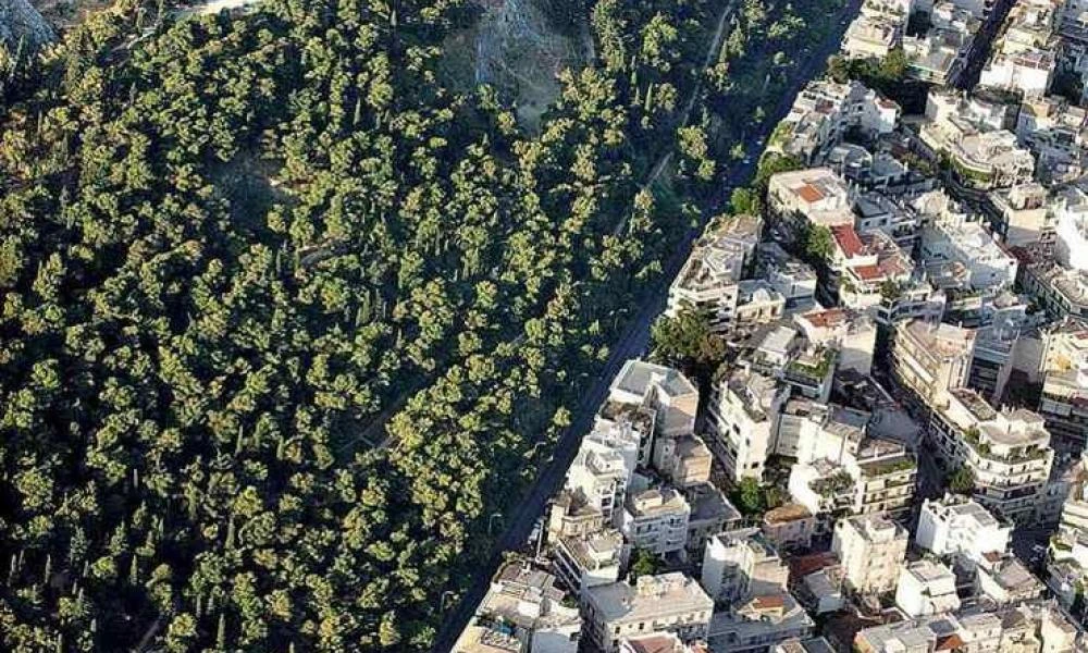 Χαμηλή συμμετοχή στο Εθνικό Κτηματολόγιο – Έκκληση Λιβάνιου να δηλωθούν οι περιουσίες